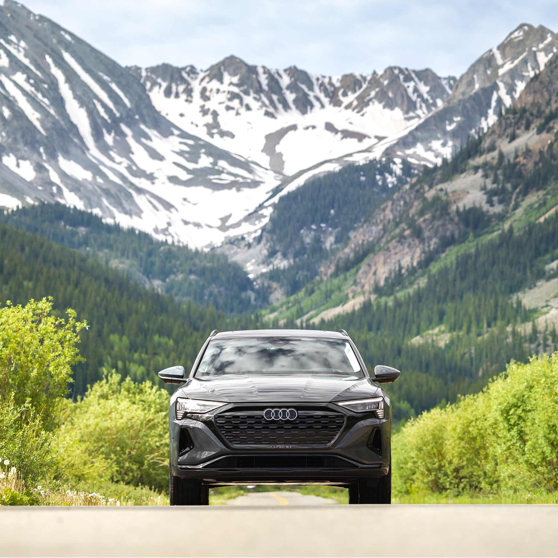 Front profile of an Audi e-tron vehicle parked on a forest road with snow-capped mountains in the background.