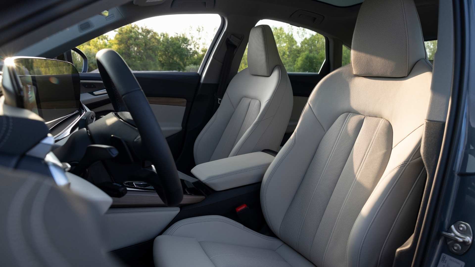 Cabin Experience Across the Three Models