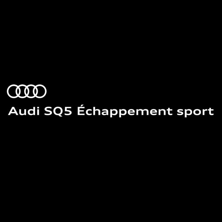 Vidéo et son du moteur de l’Audi&nbsp;SQ5 muni d’un échappement sport au démarrage, à l’accélération et à la décélération.