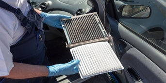 Cabin and Air Filter