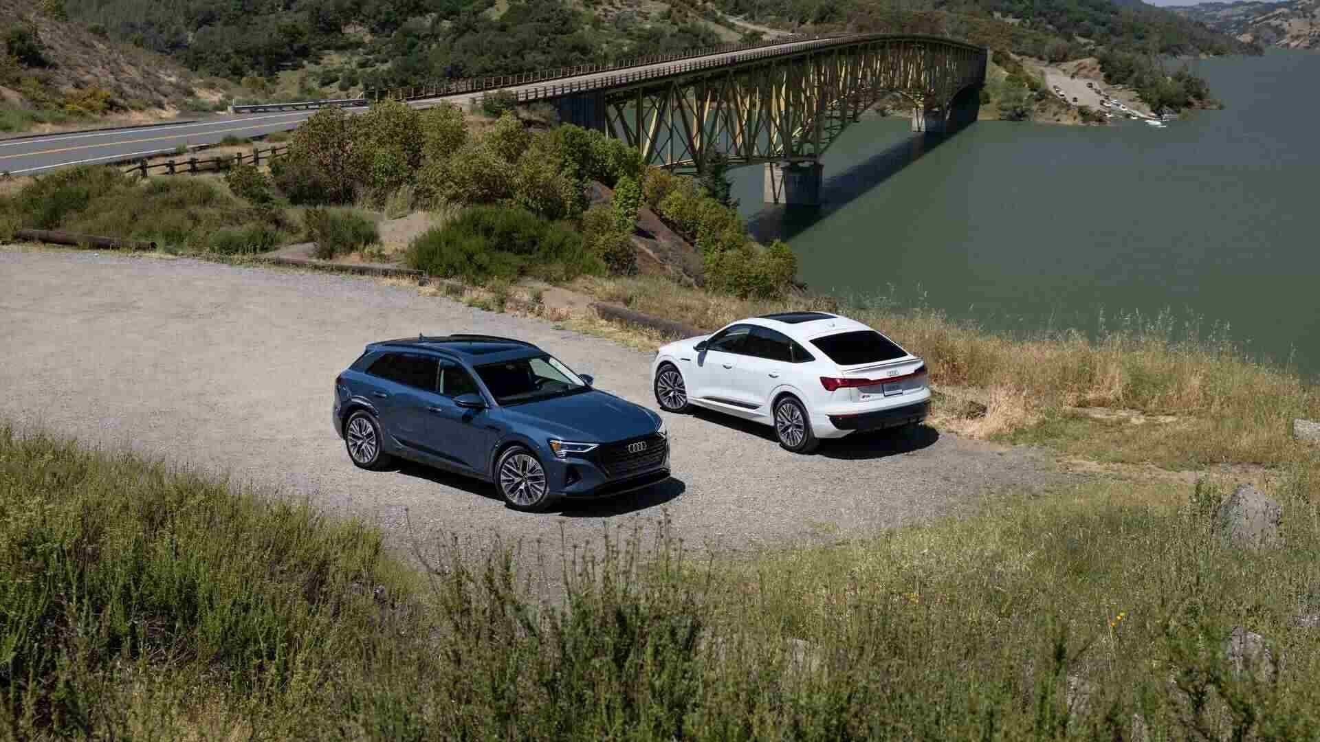 Pair of Audi Q8 e-tron