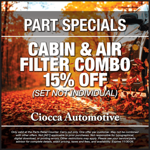 Air & Cabin Filter combo – 15% off - Set not individual