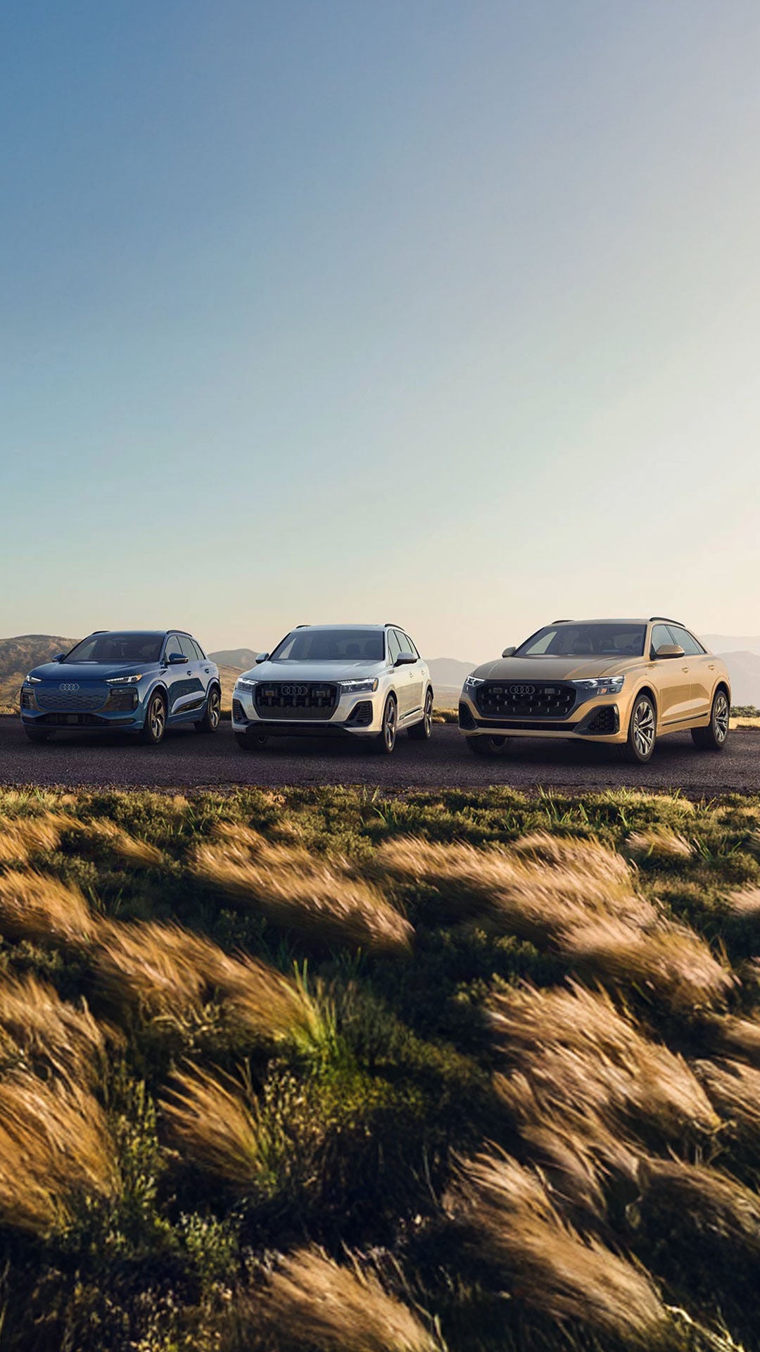 Audi Guides & Information