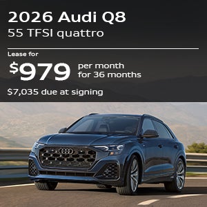 Audi Q8 Specials