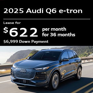 Q6 e-tron Specials