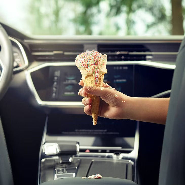 Image of a passenger holding an ice cream cone