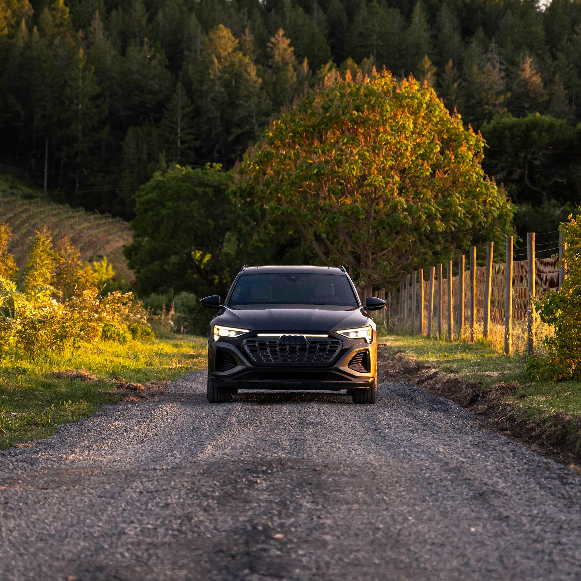 Front profile of an Audi vehicle parked on a countryside road.