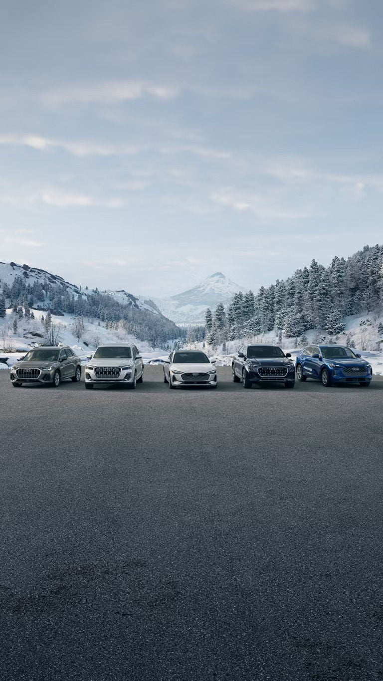 Season of image in Audi Rancho Mirage