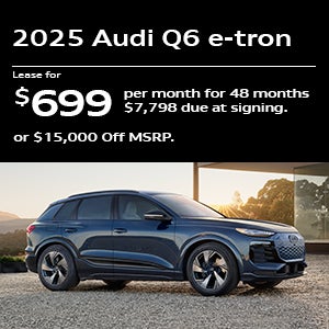 Audi Q6 e-tron Specials