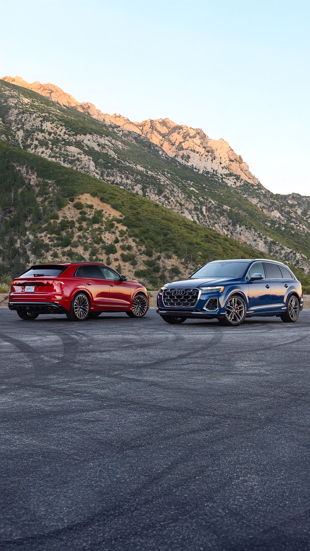 Configurations for 2025 Audi Q5 Sportback vs Standard
