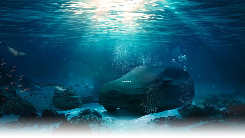Comfort and protection > Audi Genuine Accessories > Audi Canada
