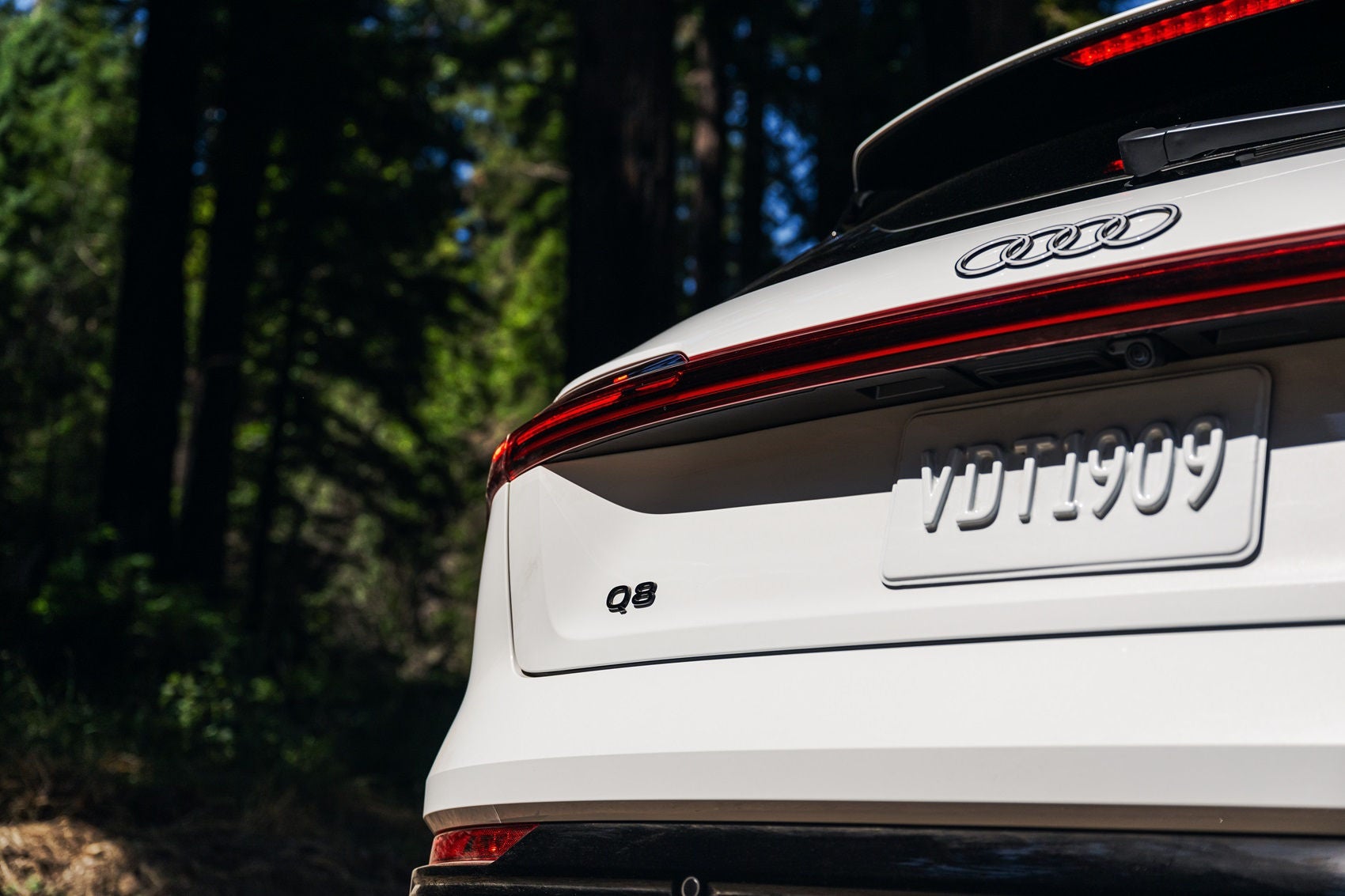 Explore Our Diverse Electric Vehicle Inventory