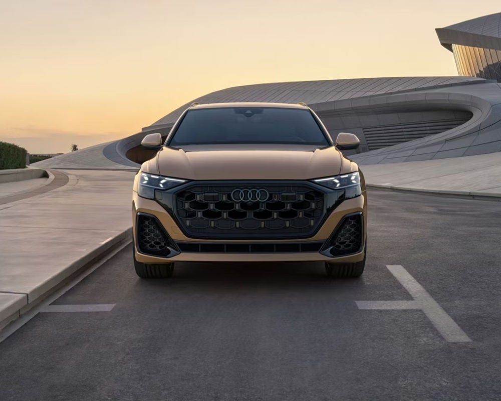 A Shape That Turns Heads Everywhere