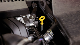 Oil Change Special