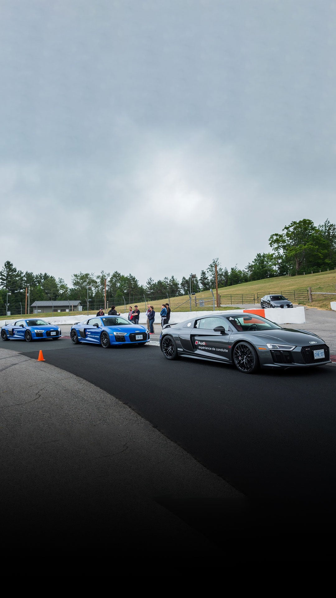 Une rangée de modèles sportifs Audi garés sur une piste de course.