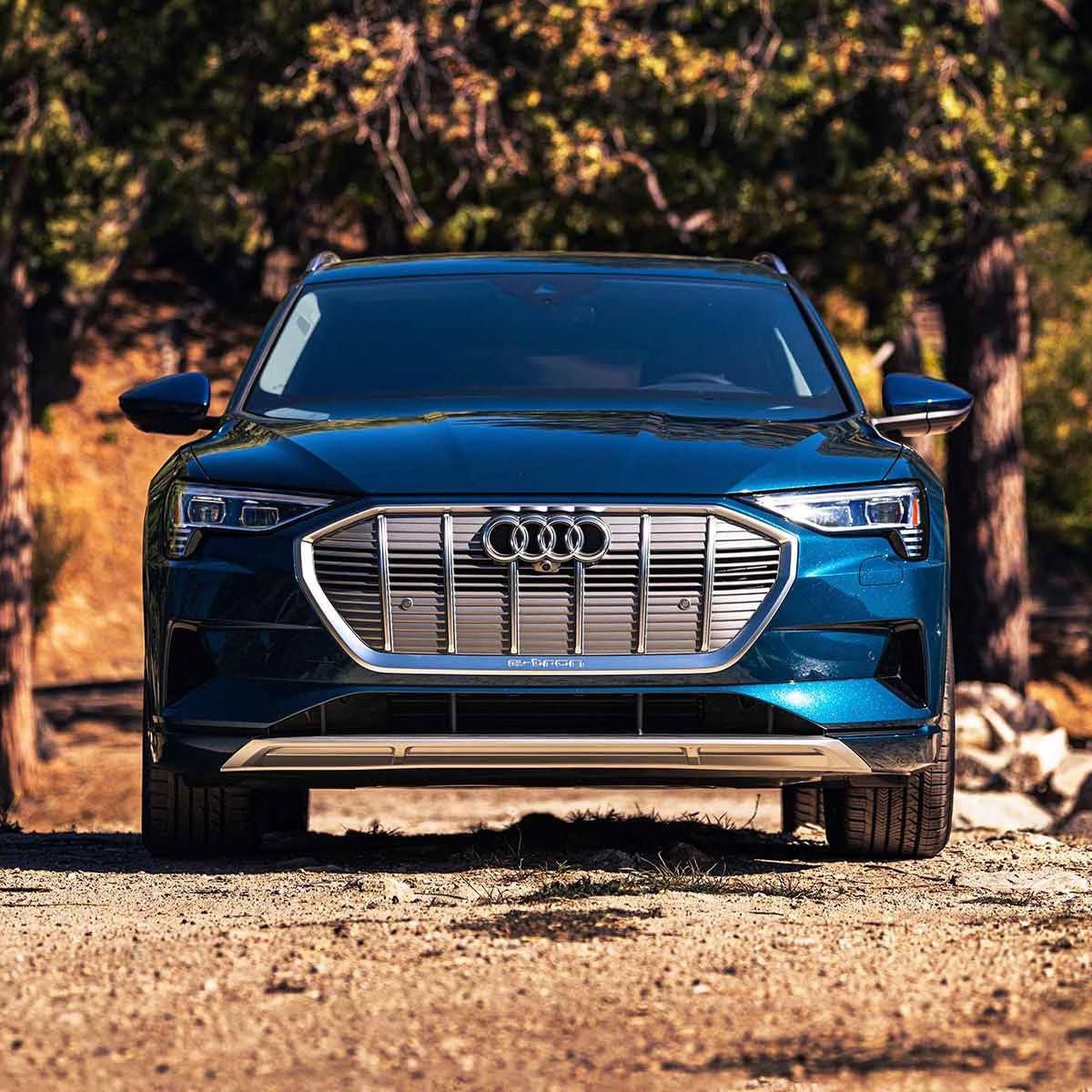 Front profile of the Audi e-tron.