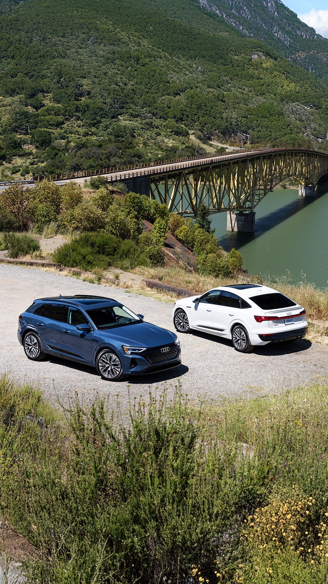 2025 Audi Q8 e-tron Standard and Sportback trims parked next to each other on cliff with bridge over water in background