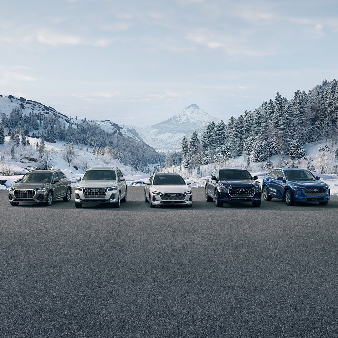 Lineup of Audi models in a snowy scene