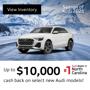 Audi Vehicle left profile 