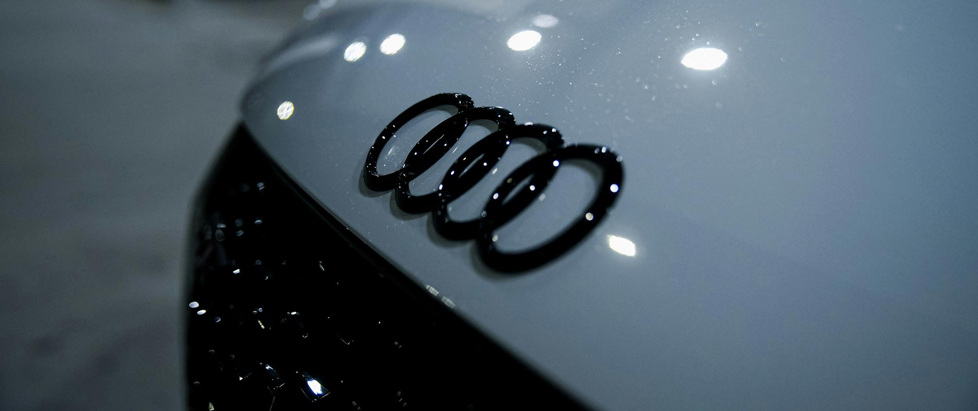 Audi logo on front of model