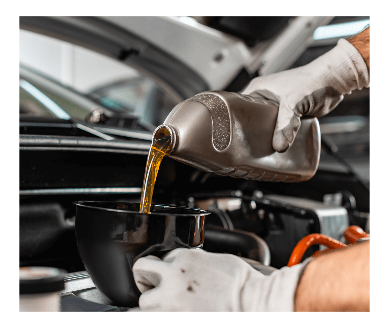 Types of Oil Services Offered at Audi Indianapolis Near Fisher, IN 