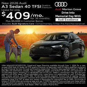A3