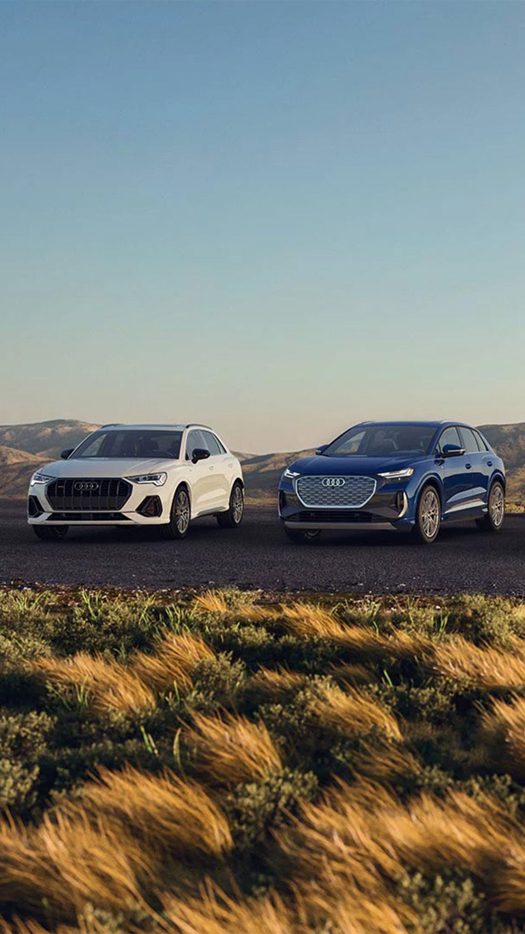 Audi SUV Lineup