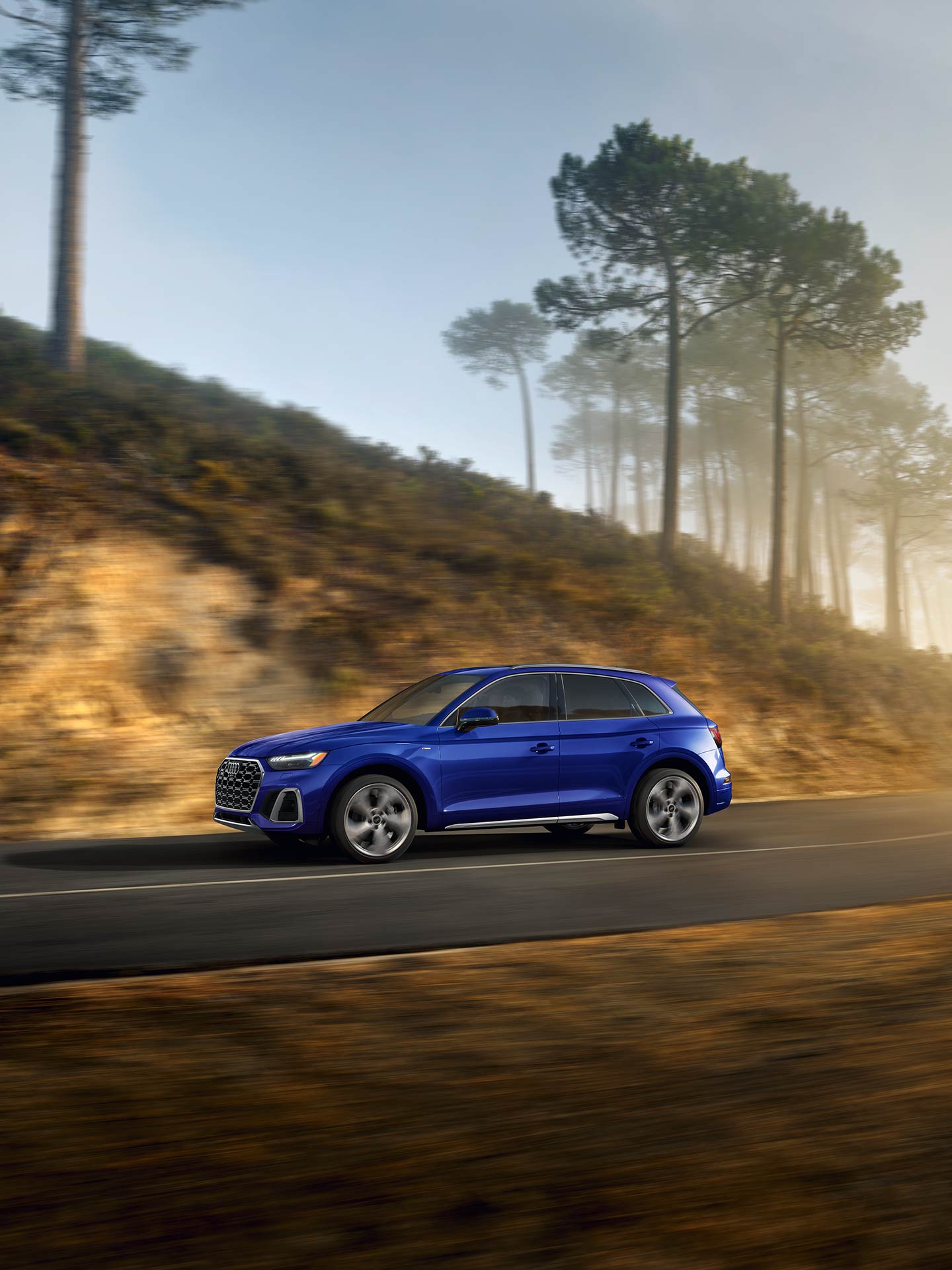 Vue latérale de l'Audi Q5 accélérant sur une route bordée d'arbres.