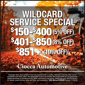 Wildcard Service Special: (max discount $100.00)