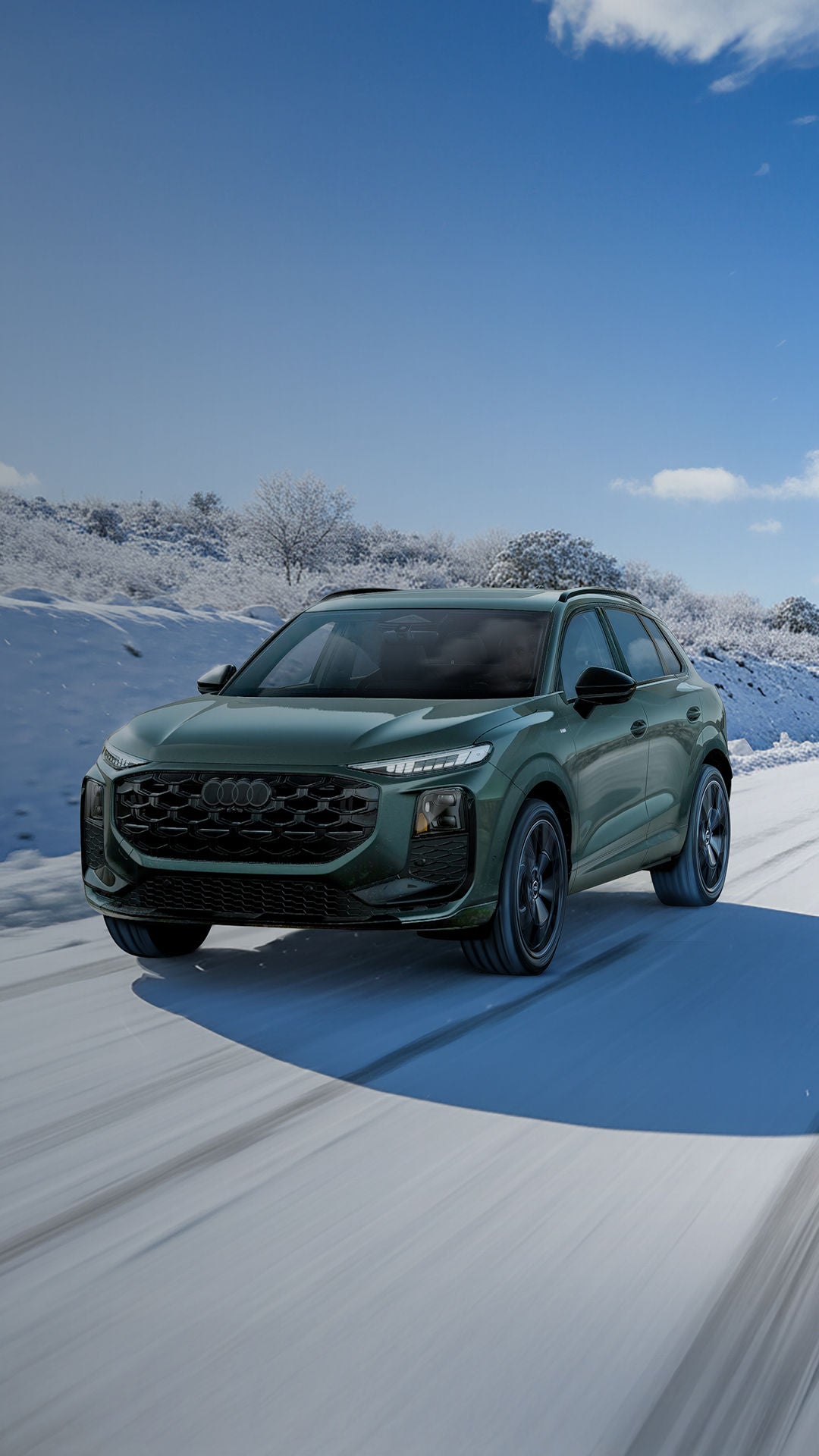 Group of Audi Vehicles