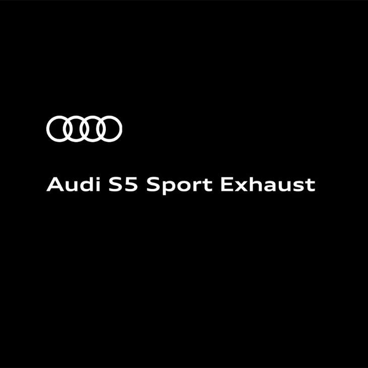 Video and engine sound of the new Audi S5 with sport exhaust starting up, accelerating, and decelerating.