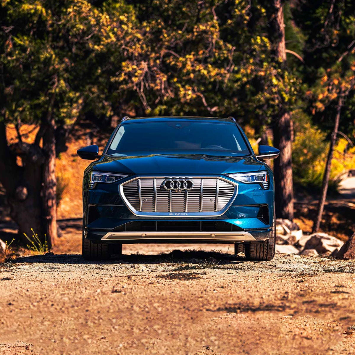 Front view of the Audi e-tron