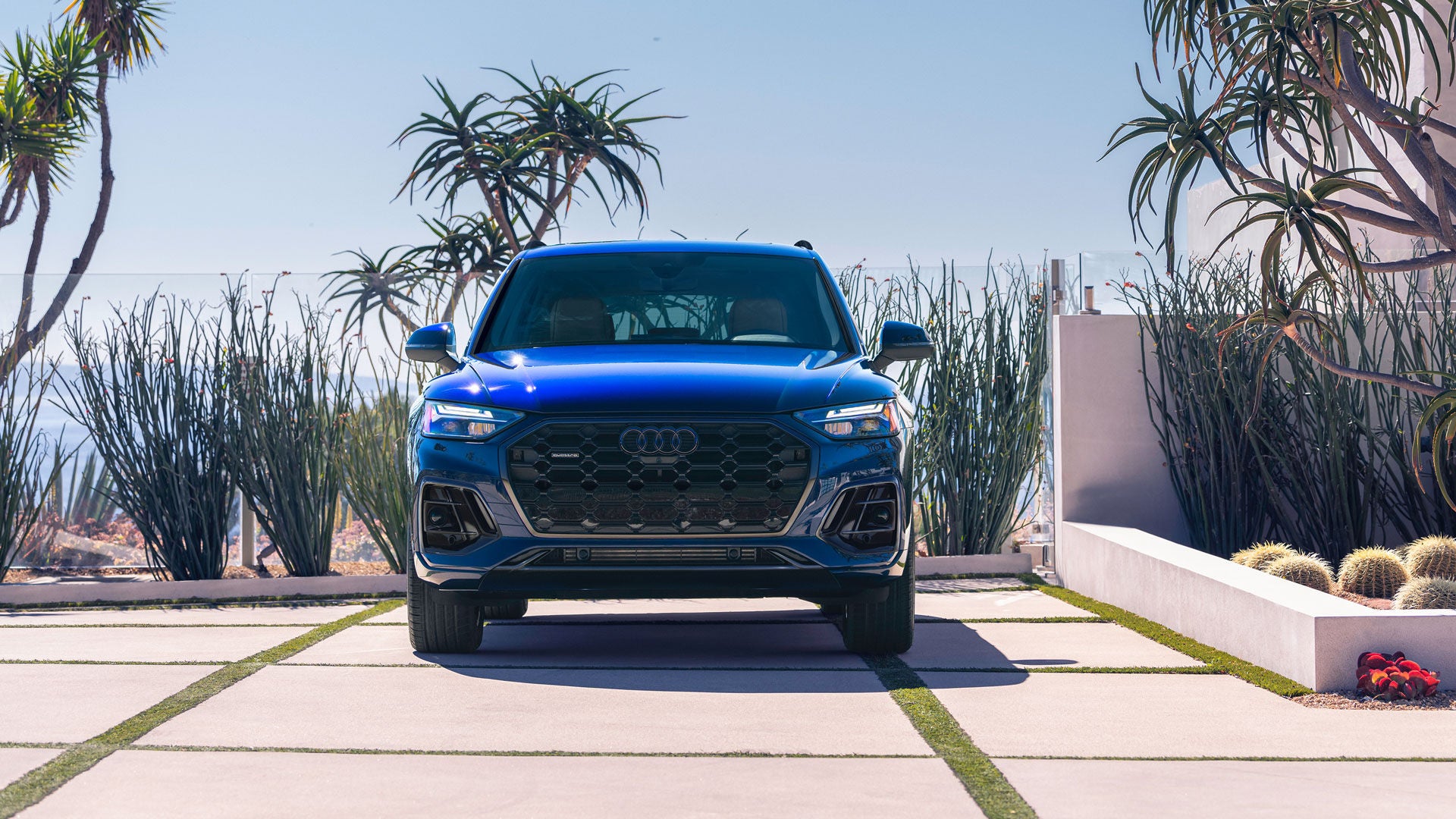 Image of a blue Audi Q5 SUV parked in front of some cacti and other foliage