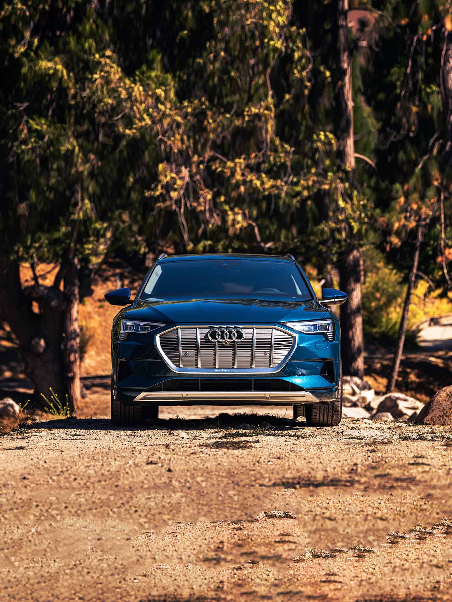 Front profile of the Audi e-tron.