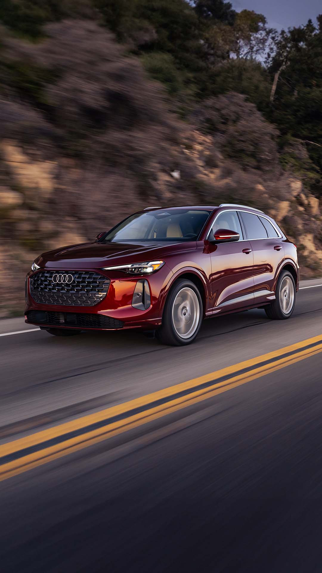 Efficiency and Ownership Value