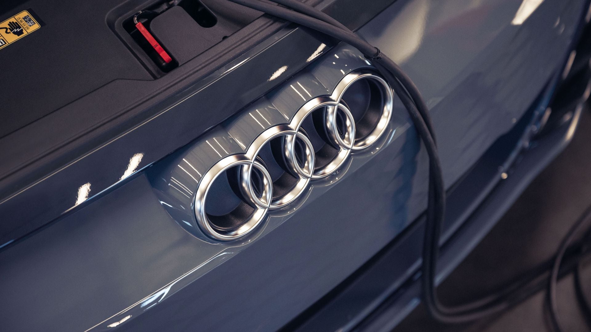 Audi rings on an Audi vehicle.