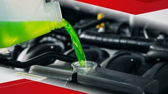 Collection of tires.