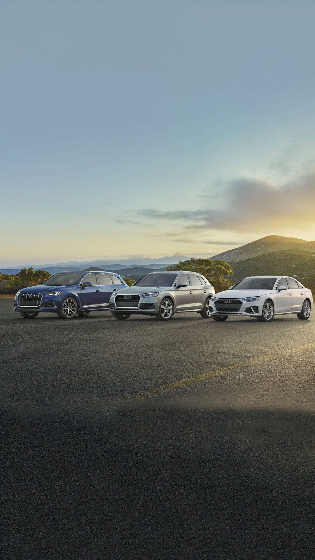 Photo of a line up of Audi vehicles. 