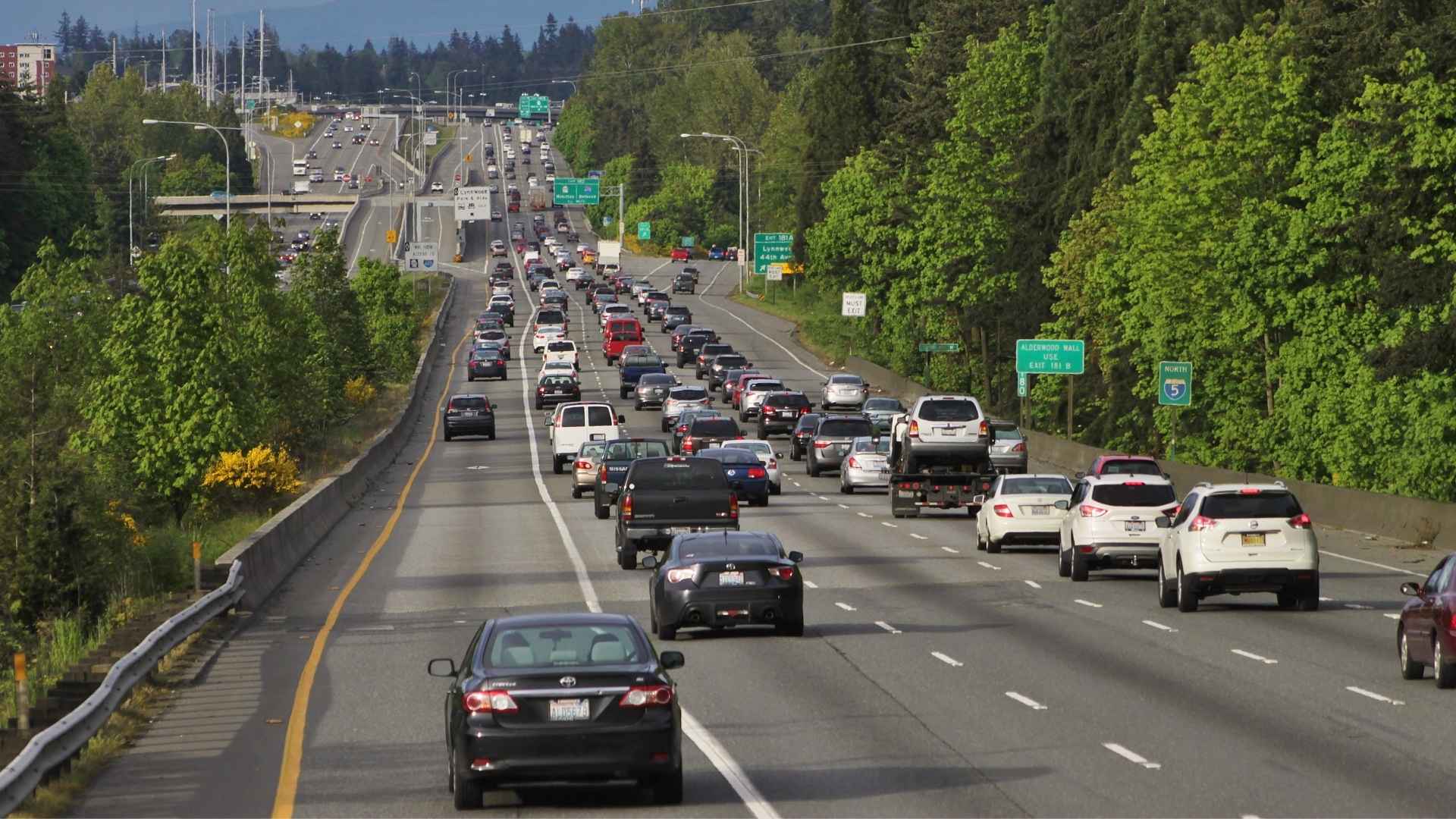 A Quick Look at Lynnwood