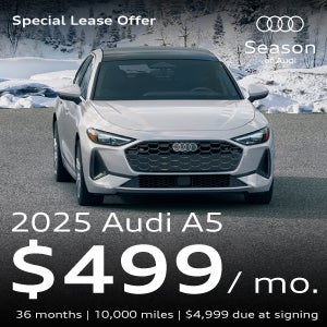 A silver A5 in the snow.