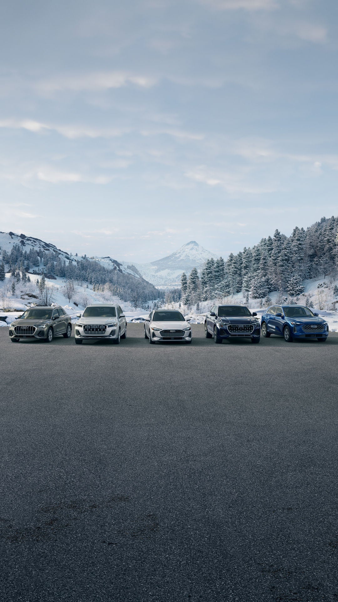 Front angle view of Audis in a lineup.