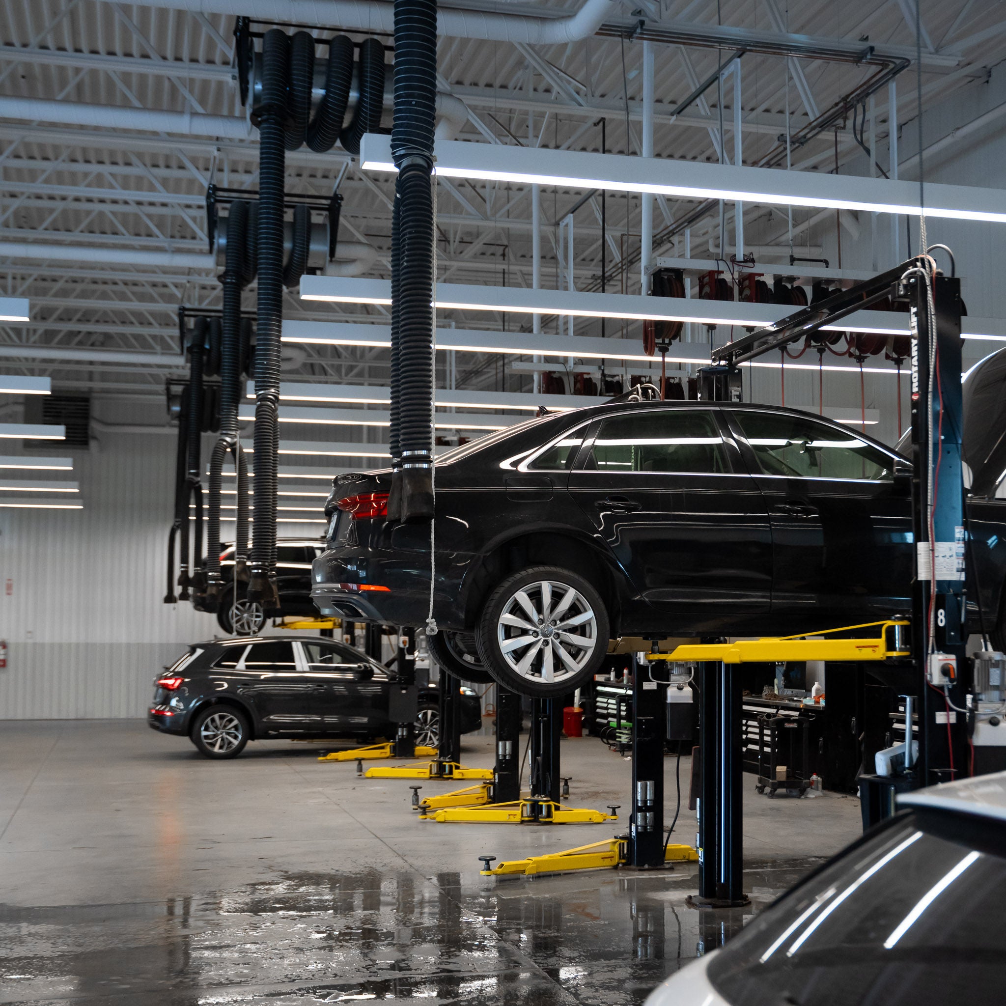 Audi service technician servicing a vehicle.