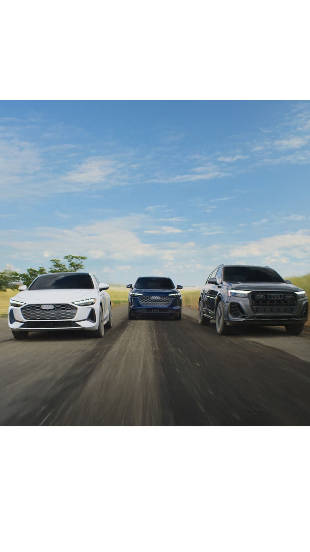 Left side profile view of an Audi Q6 parked.