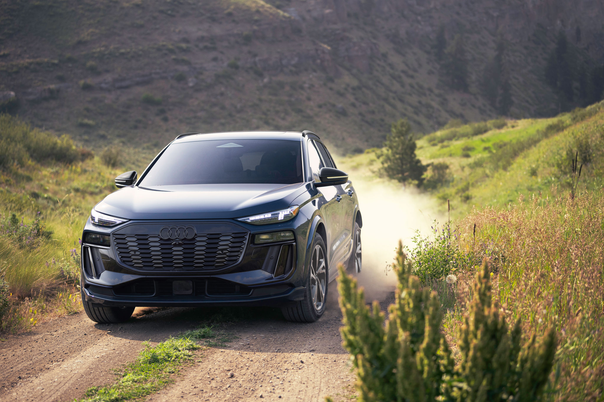 Q6 e-tron Front