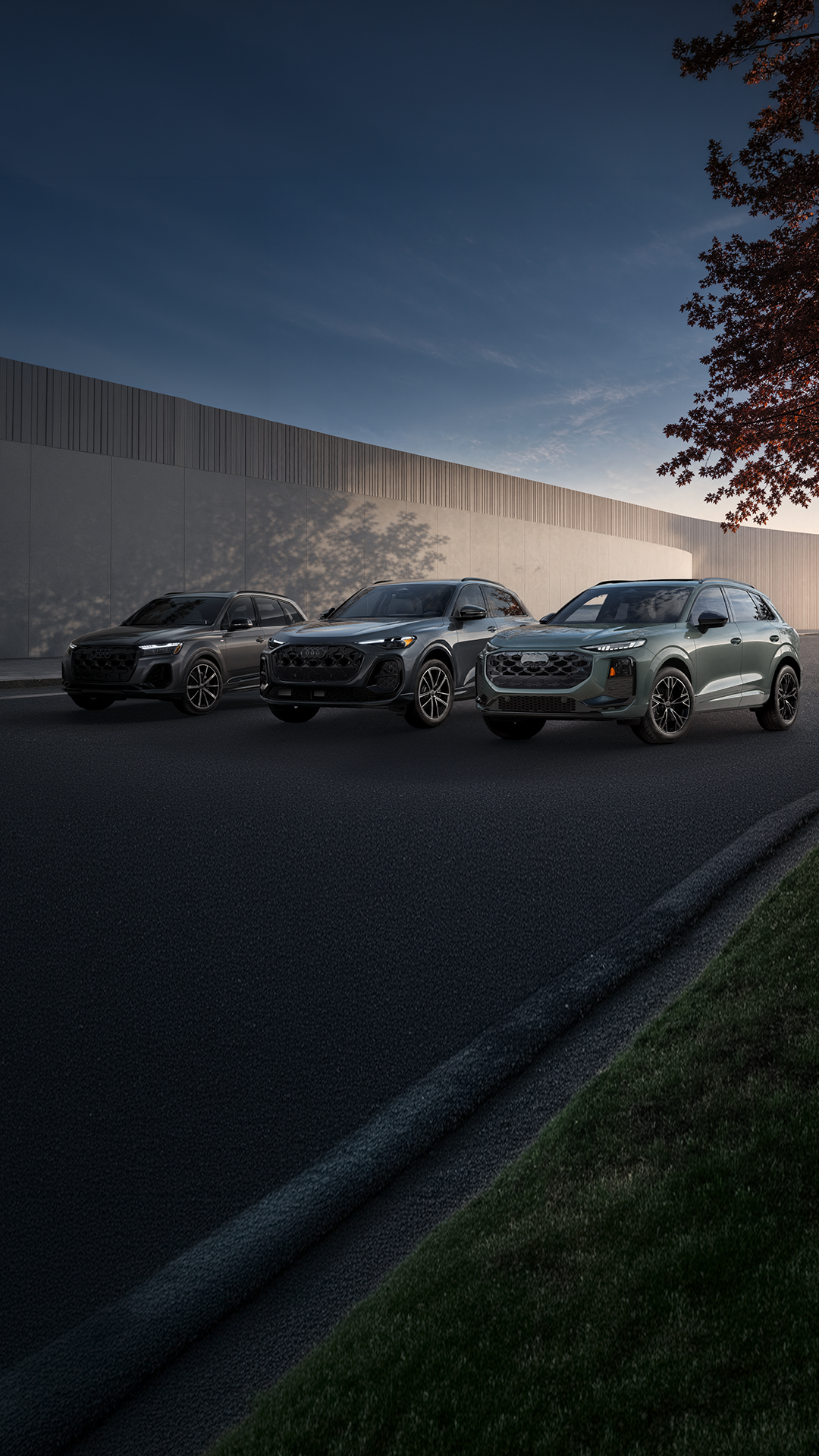 Audi Q Series