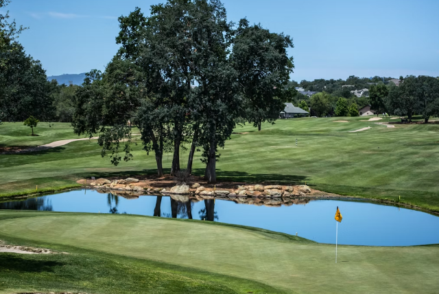 Golf course with water hazard and trees in background
