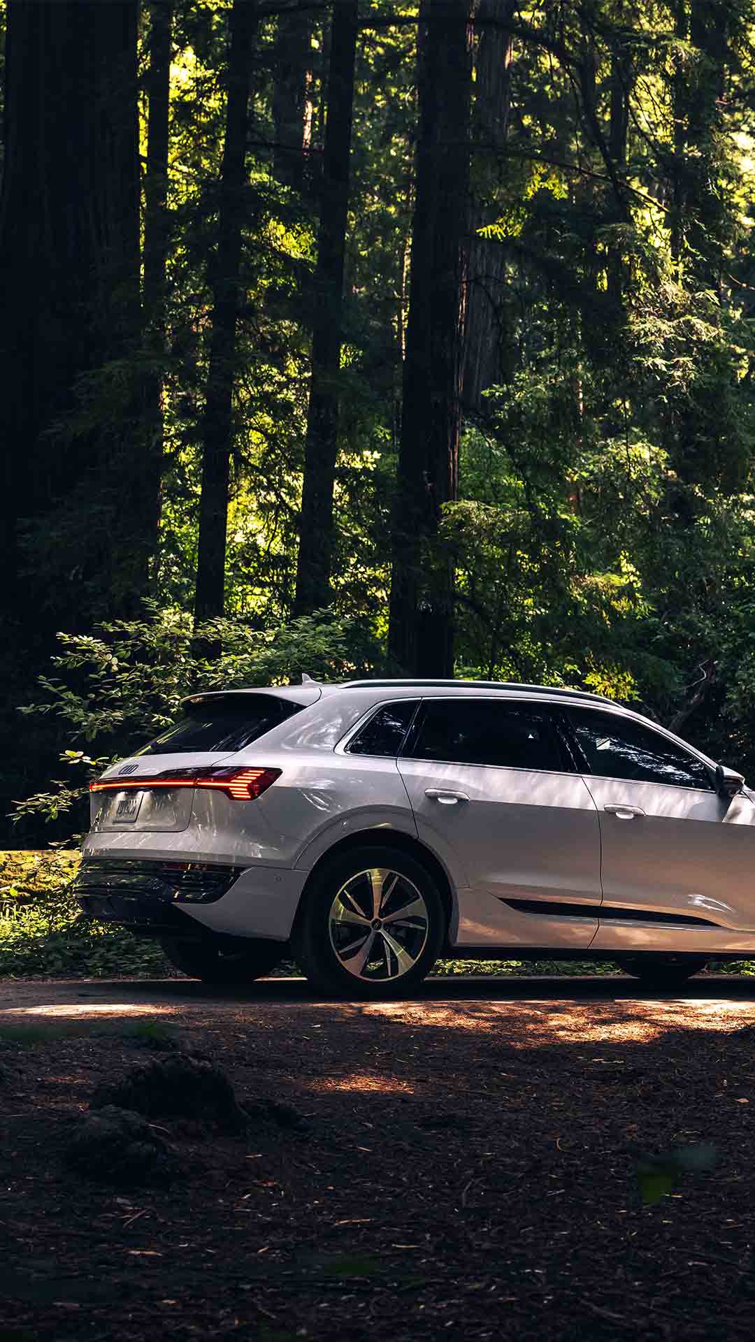 Audi Q8 e-tron side view