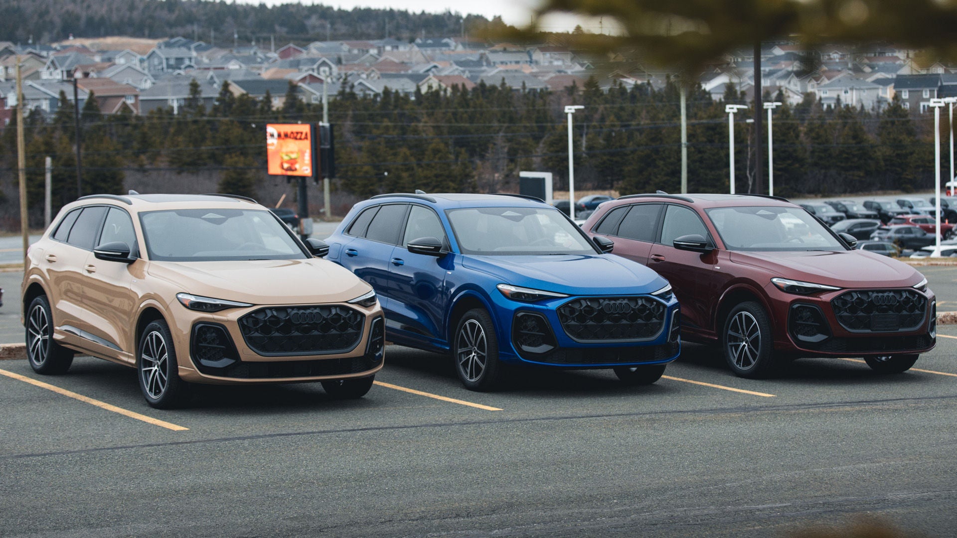 Audi Q5 Colours