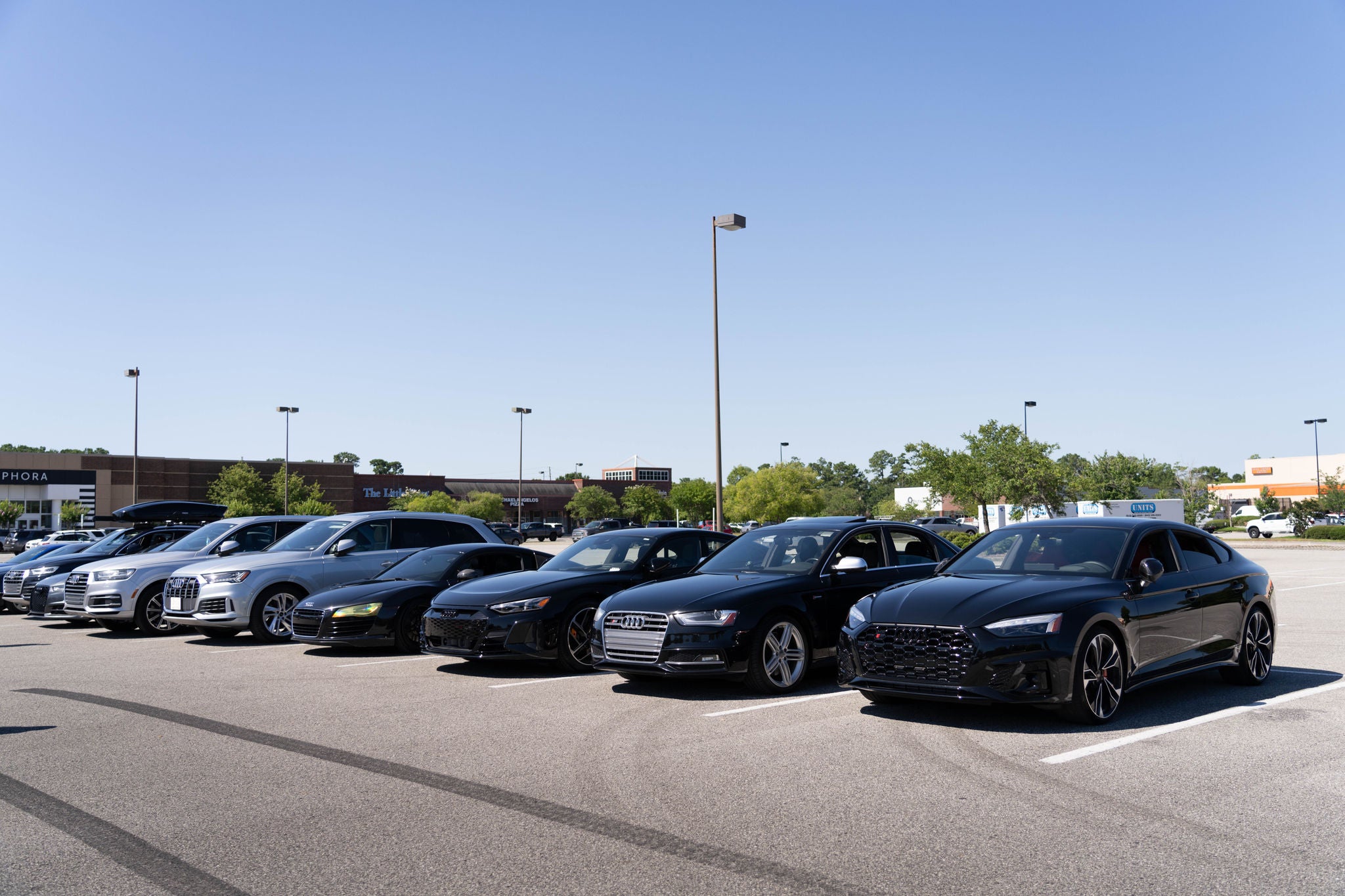 A Gathering of Audi Enthusiasts