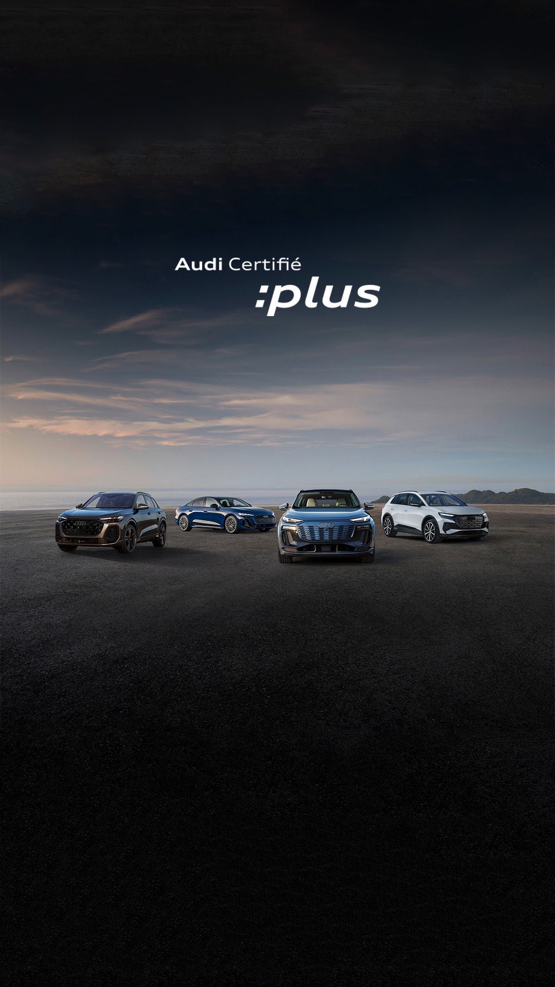 Une rangée de véhicules Audi stationnés.